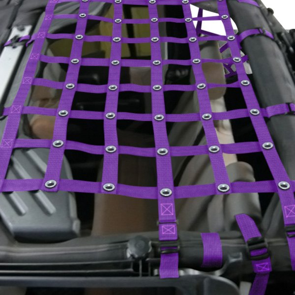 Dirtydog 4x4® - Purple Rear Seat Netting