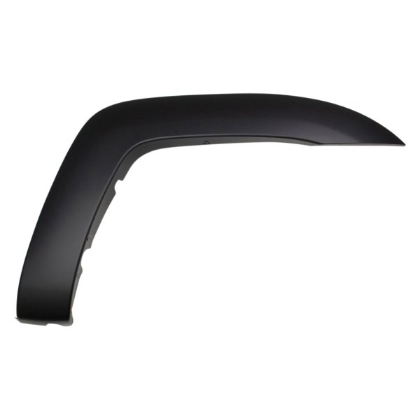 DIY Solutions® BAS01901 Front Fender Molding