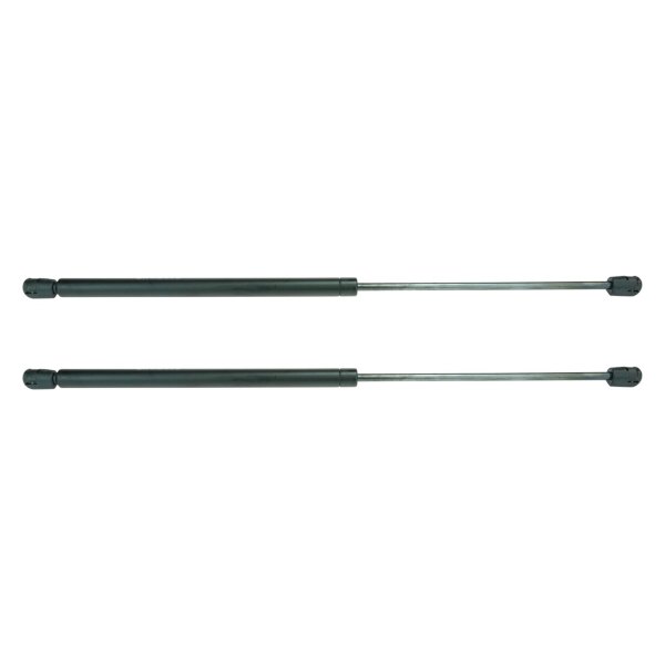 DIY Solutions® - Tailgate Lift Support Set