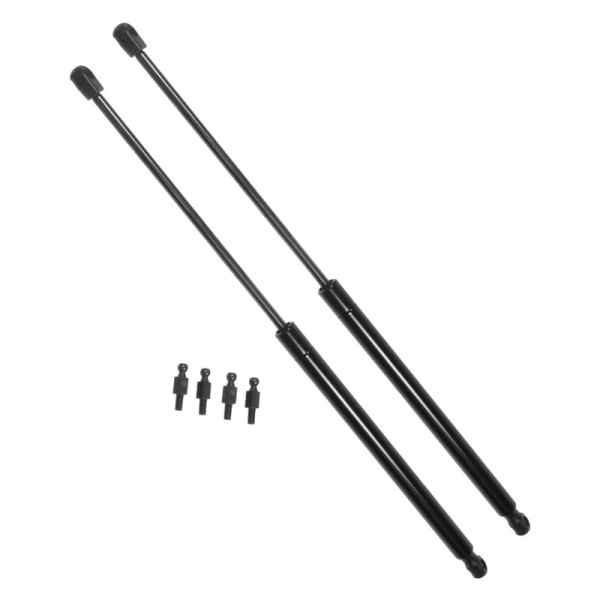 DIY Solutions® - Rear Tailgate Lift Support Set
