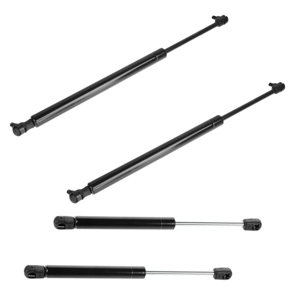 DIY Solutions® - Hood and Liftgate Lift Support Set