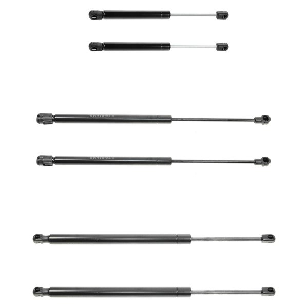 DIY Solutions® - Hood, Liftgate and Back Glass Lift Support Set