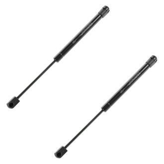 DIY Solutions® - Trunk Lid Lift Support Set