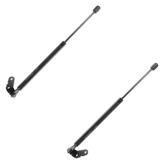 DIY Solutions® - Liftgate Lift Support Set