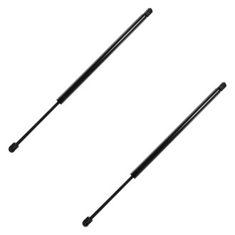DIY Solutions® - Liftgate Lift Support Set