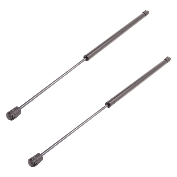 DIY Solutions® - Rear Back Glass Lift Support Set