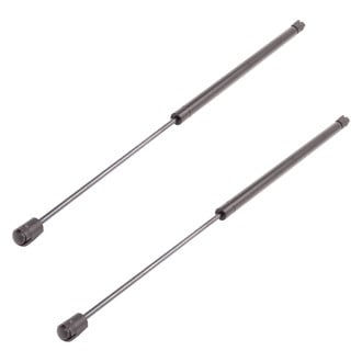 DIY Solutions® - Back Glass Lift Support