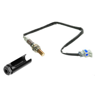 DIY Solutions® - Oxygen Sensor