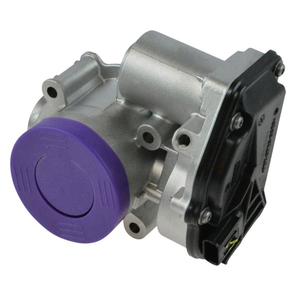 DIY Solutions® - Fuel Injection Throttle Body