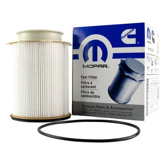 DIY Solutions® - Fuel Filter
