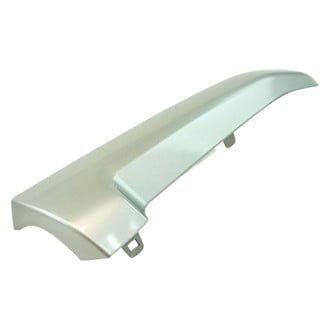 DIY Solutions® - Passenger Side Grille Molding
