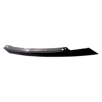 DIY Solutions® - Passenger Side Grille Molding