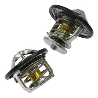 DIY Solutions® - Engine Coolant Thermostat