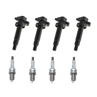 DIY Solutions® - Ignition Kit