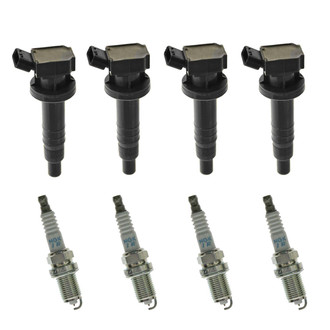 DIY Solutions® - Ignition Kit
