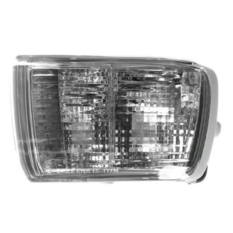 DIY Solutions® - Driver Side Replacement Turn Signal/Parking Light