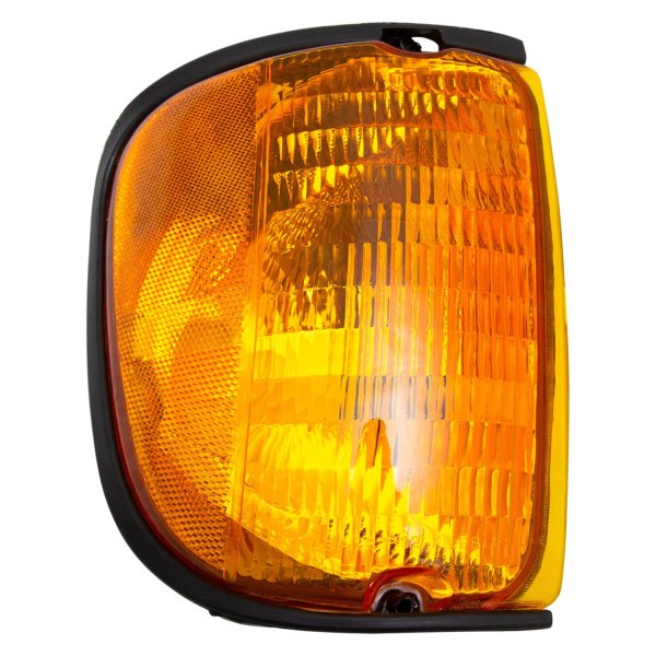 DIY Solutions® - Passenger Side Replacement Turn Signal/Corner Light