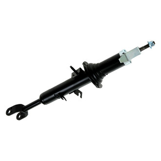 DIY Solutions® - Front Passenger Side Shock Absorber