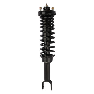 DIY Solutions® - Rear Passenger Side Complete Strut Assembly