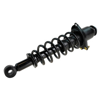 DIY Solutions® - Rear Passenger Side Complete Strut Assembly