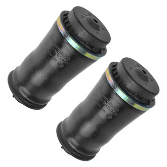 DIY Solutions® - Rear Air Spring Set