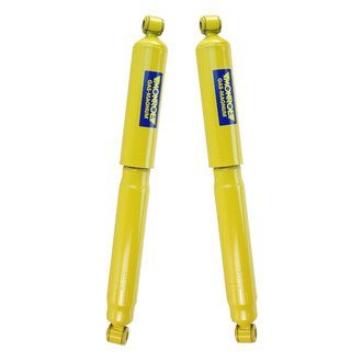 DIY Solutions® - Front Shock Absorbers
