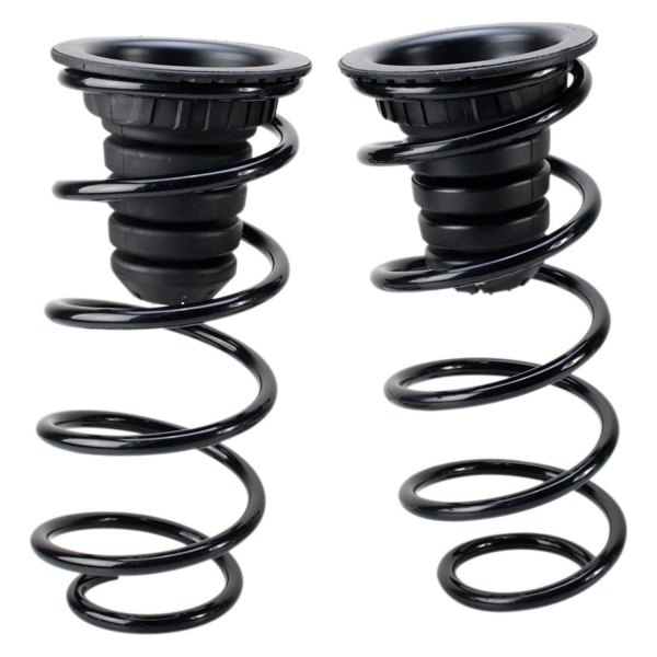 DIY Solutions® - Rear Air Spring to Coil Spring Conversion Kit