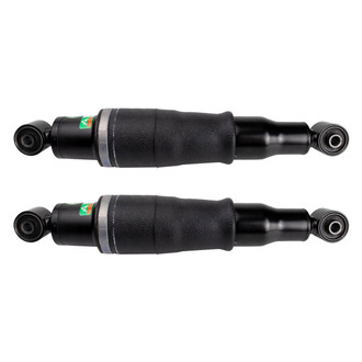 DIY Solutions® - Rear Air Shock Absorber
