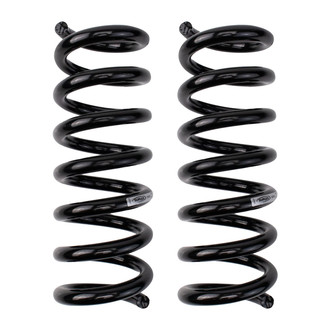 DIY Solutions® - Rear Coil Spring Set