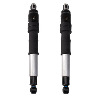 DIY Solutions® - Air Shock and Strut
