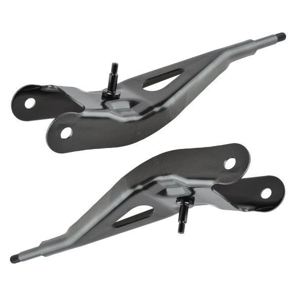 DIY Solutions® - Front Radius Arms