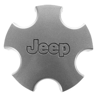 DIY Solutions® - Silver Wheel Center Cap