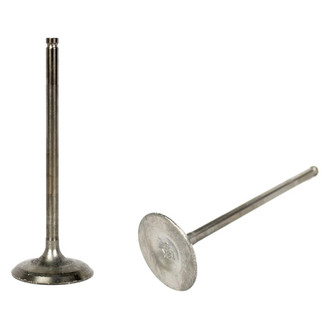 DNJ Engine Components® - Intake Valve
