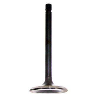 DNJ Engine Components® - Intake Valve