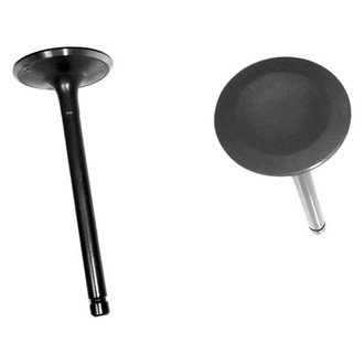 DNJ Engine Components® - Intake Valve