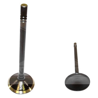 DNJ Engine Components® - Exhaust Valve