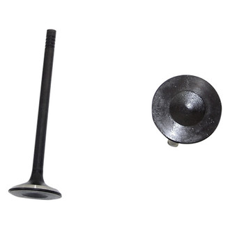 DNJ Engine Components® - Exhaust Valve