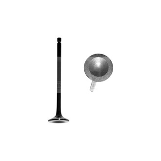 DNJ Engine Components® - Exhaust Valve