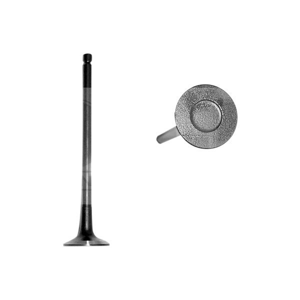 DNJ Engine Components® - Engine Exhaust Valve