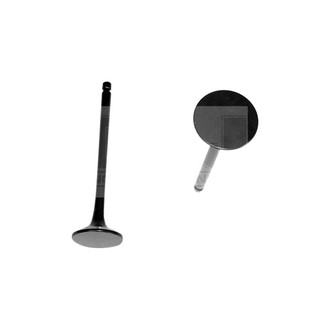 DNJ Engine Components® - Exhaust Valve