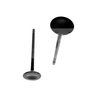 DNJ Engine Components® - Exhaust Valve