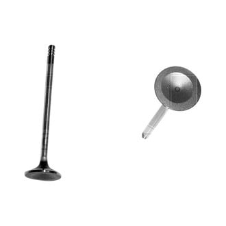 DNJ Engine Components® - Exhaust Valve