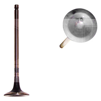 DNJ Engine Components® - Exhaust Valve