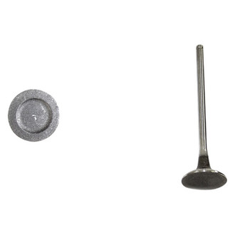 DNJ Engine Components® - Exhaust Valve