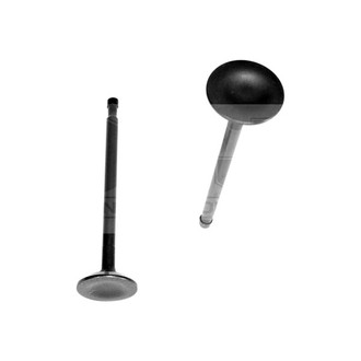 DNJ Engine Components® - Exhaust Valve