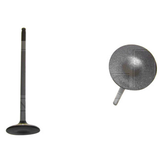 DNJ Engine Components® - Exhaust Valve