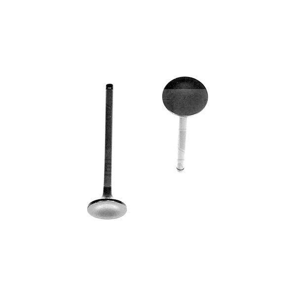 DNJ Engine Components® - Engine Exhaust Valve