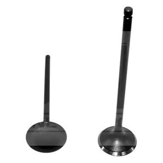 DNJ Engine Components® - Exhaust Valve