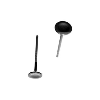 DNJ Engine Components® - Exhaust Valve
