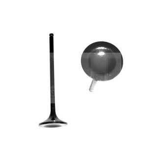 DNJ Engine Components® - Exhaust Valve